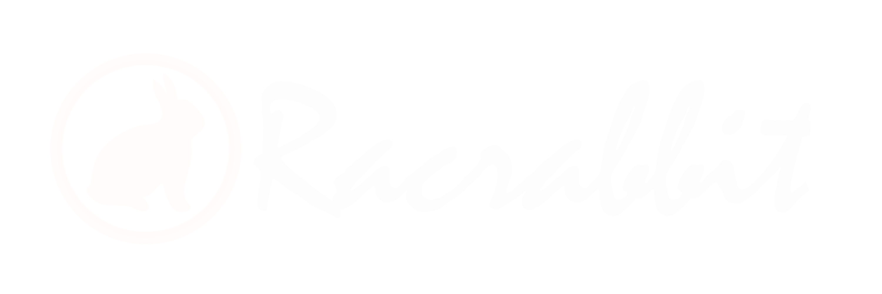 Racrabbit Oficial Website 